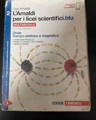 9788808937391 - L'AMALDI PER LICEI SCIEN. BLU V2