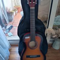 Chitarra Eko