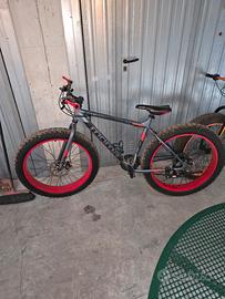 bici fat bike