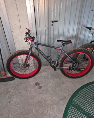 bici fat bike