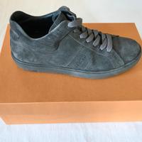 Nuove scarpe sneakers scamosciate Tod's