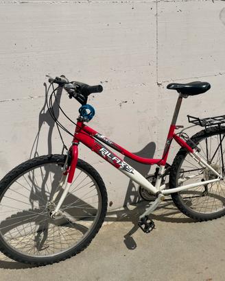 Bicicletta