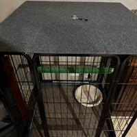 Gabbia per grandi pappagalli