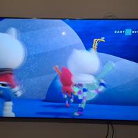 TV Samsung 65 pollici