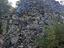 Immagine 9