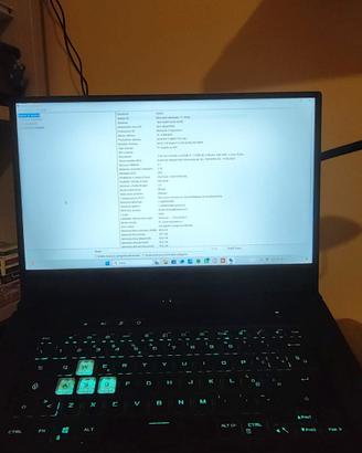 Asus Tuf Dash F15 FX516PM