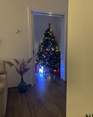 Albero di Natale