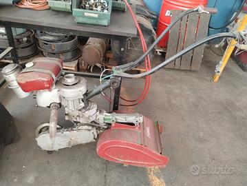 motocoltivatore Benassi 