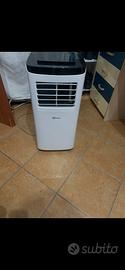 Climatizzatore pinguino
