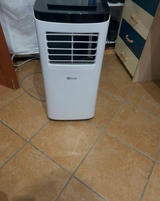 Climatizzatore pinguino
