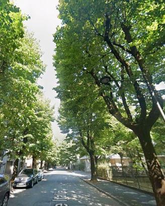 TRILOCALE CON TERRAZZO - Zona Servita a Lodi