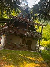 Grazioso chalet in pineta