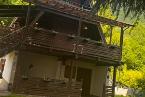 Grazioso chalet in pineta