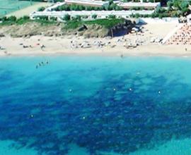 Puglia Torrecanne