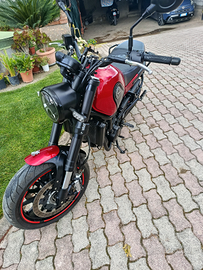 Benelli leoncino