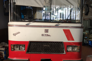 Auotomarket ad uso commerciale