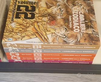 I Cavalieri dello Zodiaco