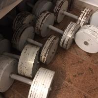 Attrezzi palestra pesi