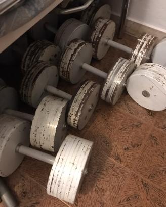 Attrezzi palestra pesi