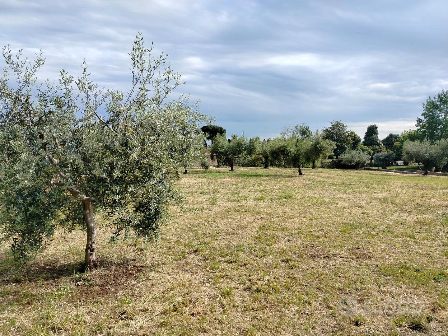 TERRENO EDIFICABILE DEMOLIZIONE E RICOSTRUZIONE - Vista 5