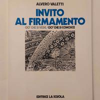 Invito al firmamento.Ciò che si vede Ciò che si co