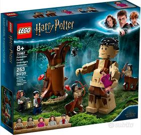 LEGO 75967 - HARRY POTTER - La foresta proibita: l