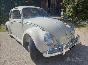 VW Käfer / Maggiolino Type 11 – Oldtimer da Sogno