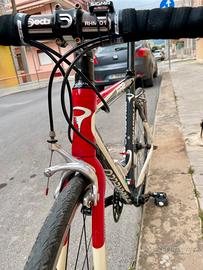 Pinarello carbon campagnolo