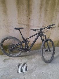Canyon Strive carbonio 29