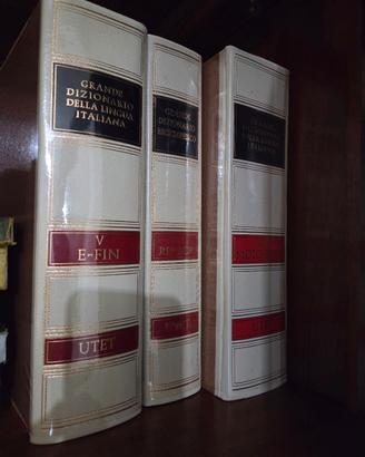Set di dizionari
