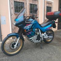 Honda xl 600 v  transalp