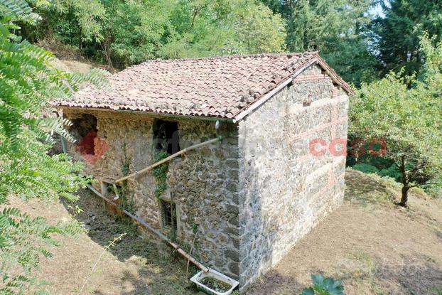 Rustico/Casale/Corte San Romano in Garfagnana