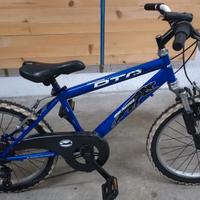 bici mtb 20 pollici bambino