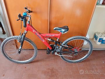 biciclette bimbo