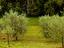 Immagine 18