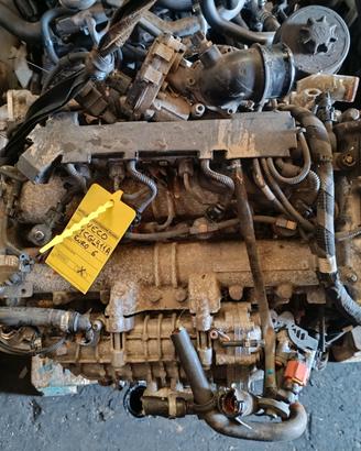 Motore Iveco Daily F1CGL411A