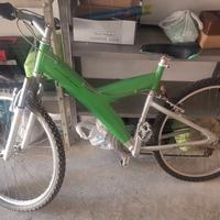 2 biciclette Pirinfarina Lega leggera