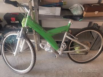 2 biciclette Pirinfarina Lega leggera