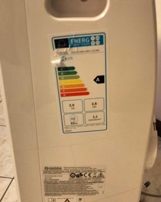 climatizzatore  portatile 