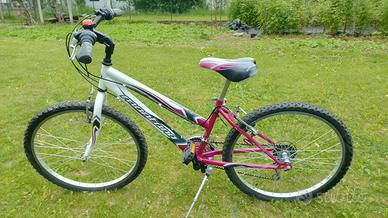 Bicicletta bambina 24