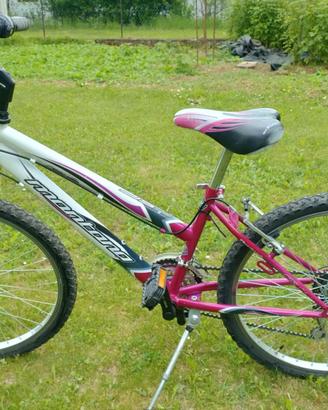 Bicicletta bambina 24