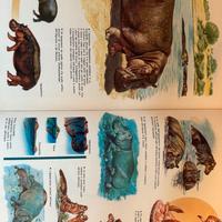enciclopedia degli animali