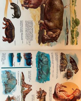 enciclopedia degli animali