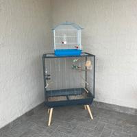 Gabbie per uccelli pappagalli cocorite