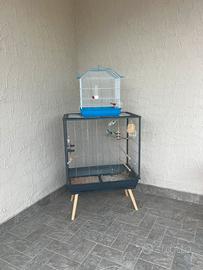 Gabbie per uccelli pappagalli cocorite