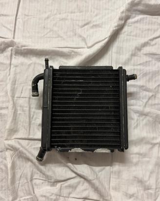 Radiatore Aprilia SR