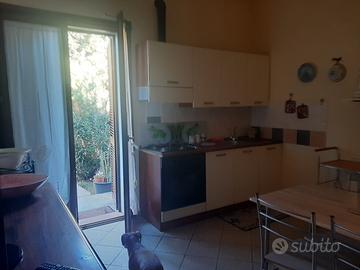 Appartamento con Giardino vicino Braccagni