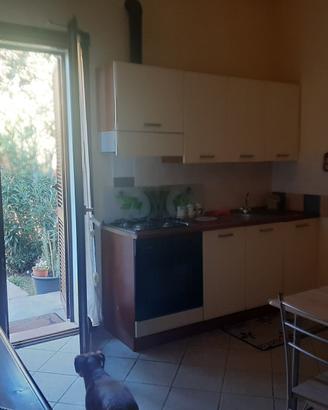 Appartamento con Giardino vicino Braccagni