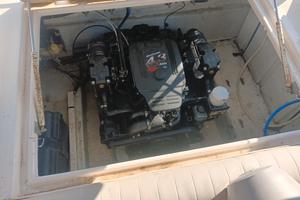 mercruiser 4.3 mpi piede alpha one