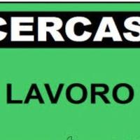 Cucinare pulizie di casa 